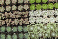 ＾＾入荷情報＾＾ 2012/05/18 13:53:29