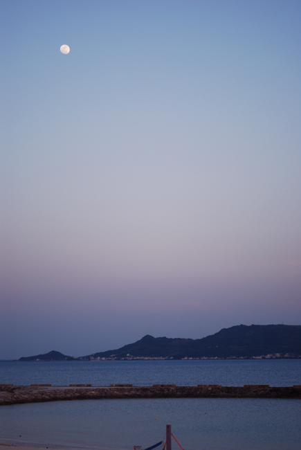 お久しぶりです。
