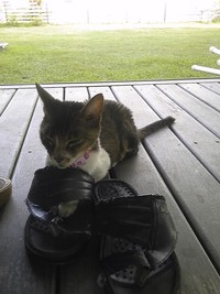 旧盆ぼん♪ 2011/08/13 18:08:38