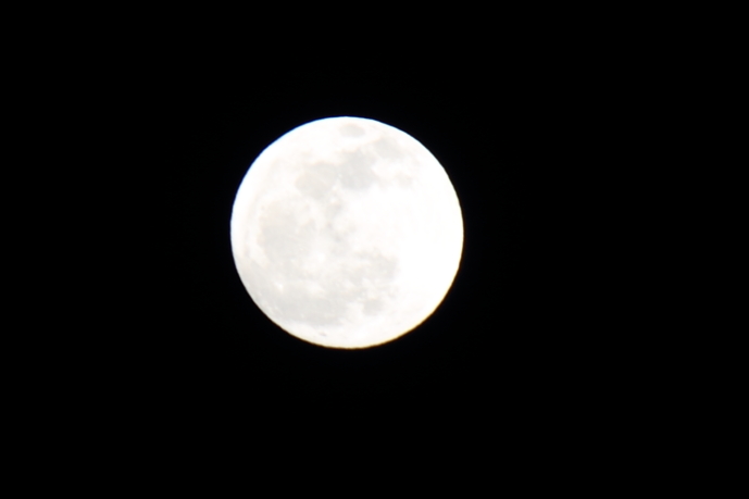今夜の月