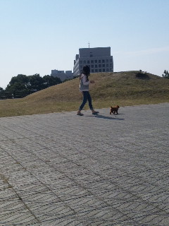 おはようございます♪
