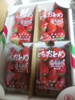 まとめてアップ♪(お土産編)