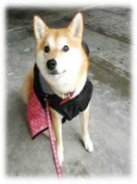 2012年03月09日