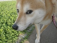 2012年03月12日