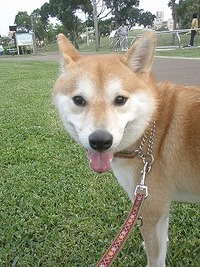 2012年05月02日