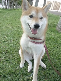 2012年05月03日