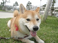 2012年05月04日