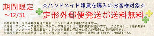 送料無料キャンペーン♪