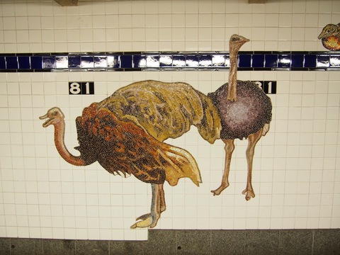 アメリカ自然史博物館近く地下鉄ホームが動物のモザイクアートでカワイイ