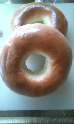 今日のlunch time~!