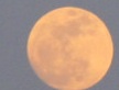 夕べは・・・
