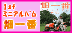 私の沖縄好き!