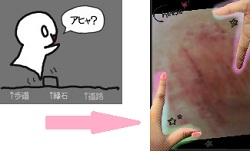 おはようございます。mana*です。