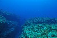 ルカン礁とトコマサリ礁