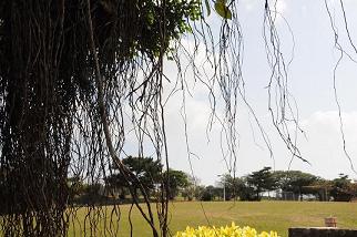 宜野湾市の森川公園