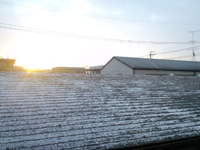 雪がふってますー 2012/02/02 07:10:23