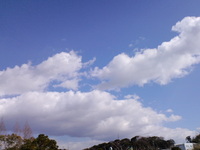 あおぞら 2012/02/08 12:16:30