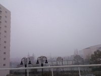 雪だー 2012/02/02 12:25:29