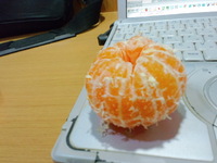 みかんを 2011/12/29 07:22:52