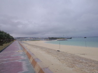 雨の浜 2012/01/15 15:20:49