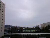 今日は雨 2012/02/06 08:37:34