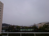 寒くはないけど雨 2012/02/07 08:32:27