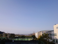 やっぱ晴れると気持ちいいや 2012/02/10 08:35:18