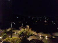 雨のおかげか 2012/02/14 19:10:08