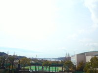 晴れましたね 2012/03/06 12:15:57