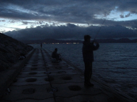 安和海岸釣行◆夜釣編