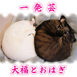 大福とおはぎ