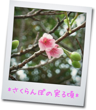 王国村*女子注目の工芸雑貨
