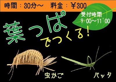 【予告】GW葉っぱで作る昔のおもちゃ体験! 【予告】GW葉っぱで作る昔のおもちゃ体験!