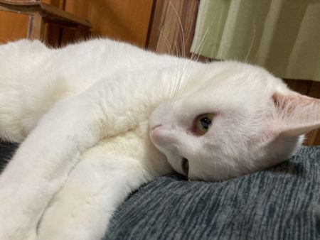 体重測定 2023年2月15日 体重測定 2023年2月15日