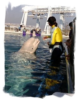 は~るばる♪ 来たぜ♪