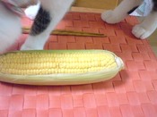 秋の味覚