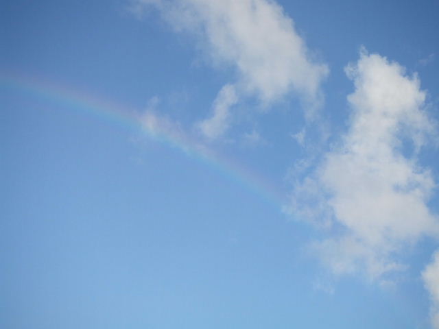 虹を見た日に。