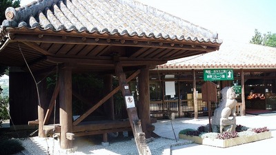 ホートゥ観察日記①