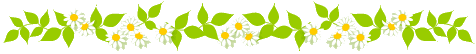 本日より2日限定!!green2周年記念