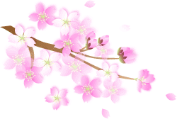 2月のおすすめメニュー