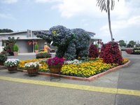 沖縄こどもの国に行ってきました