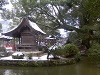 帰ってきました!