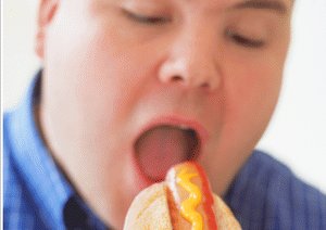 食べる量を減らして長寿に !?