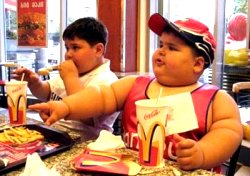 マクドナルドのせいで太った-裁判で140万円支払命令