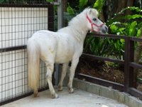 ミニミニ動物園に行ってきました