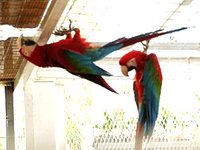 ミニミニ動物園に行ってきました