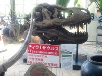 カフェくるくま・夢可視館に行ってきました