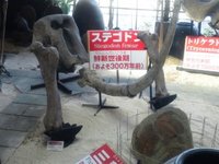 カフェくるくま・夢可視館に行ってきました