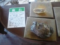 カフェくるくま・夢可視館に行ってきました