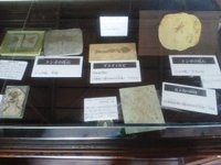 カフェくるくま・夢可視館に行ってきました